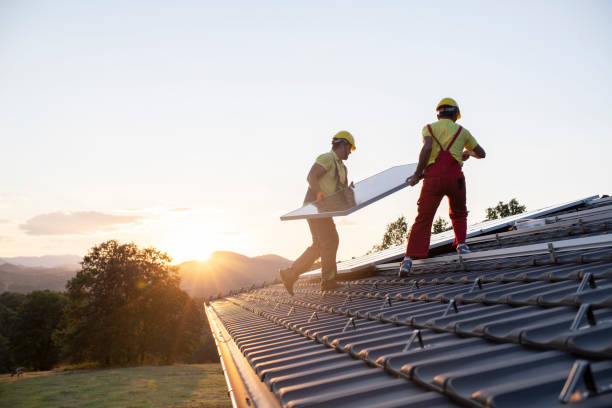 Best Roof Coating and Sealing  in Venice, IL