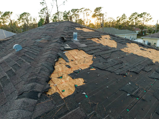 Best Gutter Installation and Repair  in Venice, IL